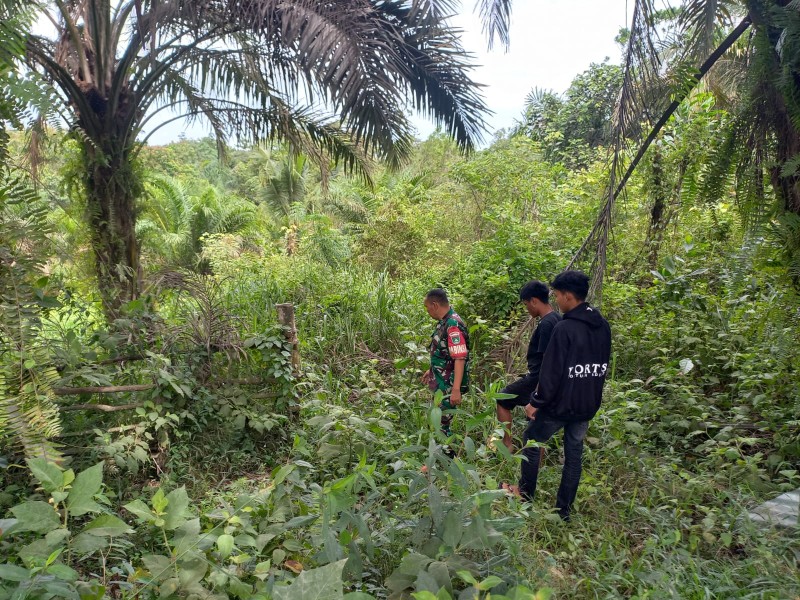 Babinsa Serka Afrisal Pastikan Wilayah Maredan Aman Karhutla