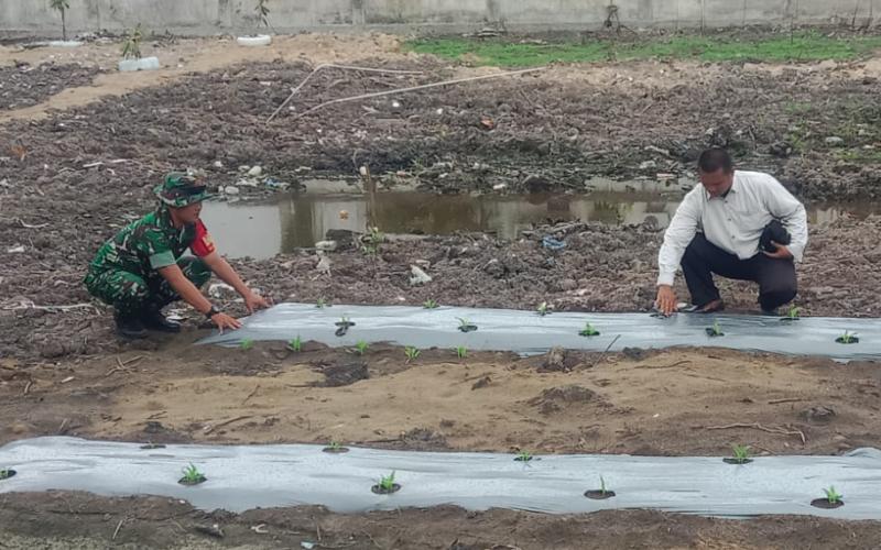 Babinsa Buluh Kasap Patroli Karhutla Sambil Dampingi Warga Tanam Kangkung