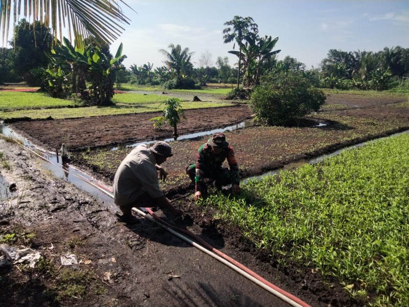 Cegah Karhutla, Babinsa Koramil 01/Dumai Edukasi Warga dan Dukung Ketahanan Pangan