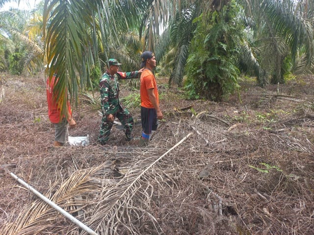 Babinsa Sertu Sarju Patroli Karhutla di Kampung Tualang, Pastikan Wilayah Aman dari Titik Api