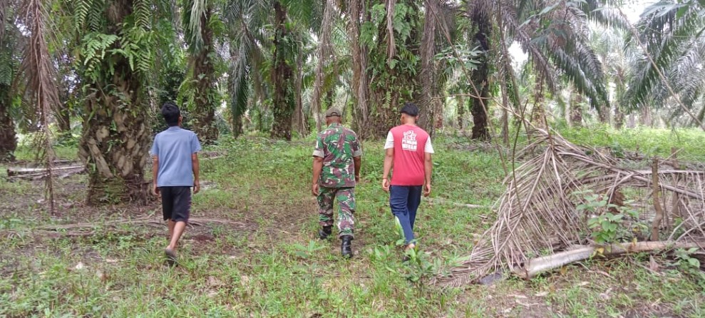 Babinsa Sertu Sahidin Gencar Patroli Karhutla di Tualang, Pastikan Tidak Ada Titik Api