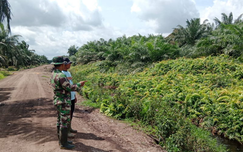 Babinsa Sungai Geniot Perketat Patroli di Lahan Gambut Rawan Karlahut