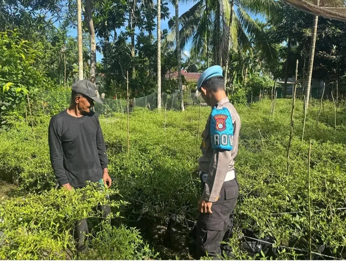 INDRAGIRI HILIR – Polsek Kawasan Sektor Kawasan Pelabuhan (KSKP) Tembilahan menunjukkan komitmen nyata dalam mendukung program Asta Cita Presiden Republik Indonesia, khususnya terkait ketahanan dan swasembada pangan nasional.