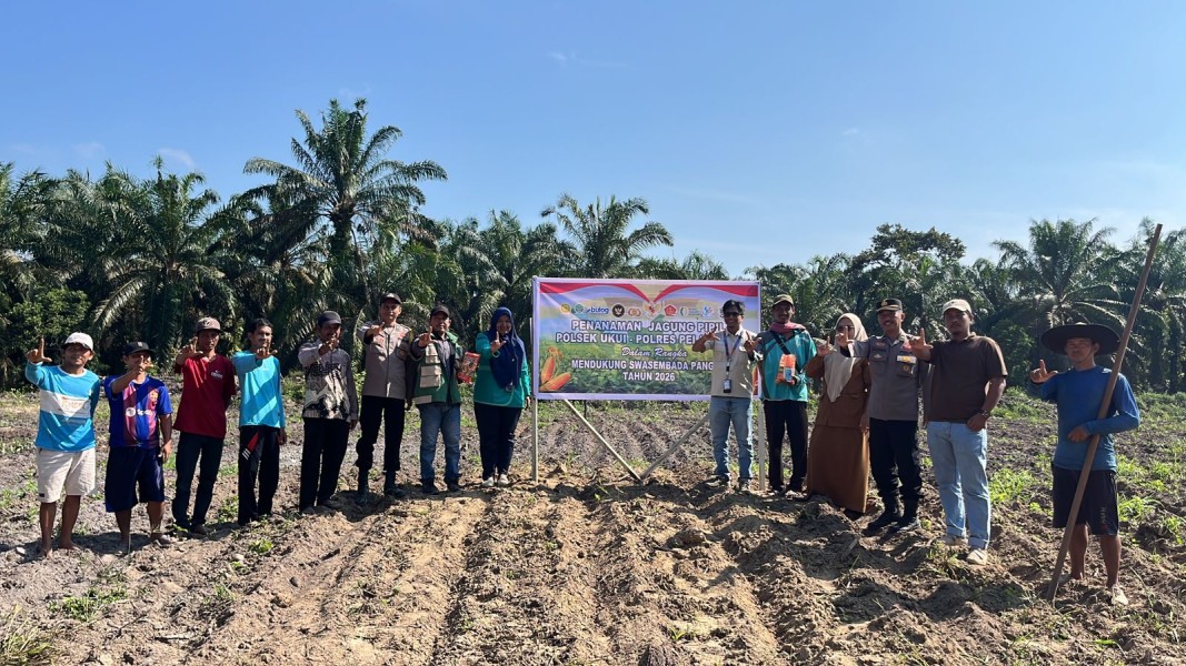 Polsek Ukui dan PT RAPP Tanam Jagung Hibrida 3 Hektar di Air Hitam, Dukung Swasembada Pangan Nasional
