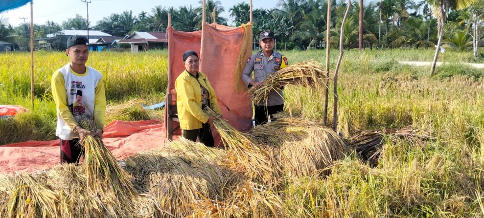 Bhabinkamtibmas Dampingi Petani, Hasil Panen Capai 1 Ton