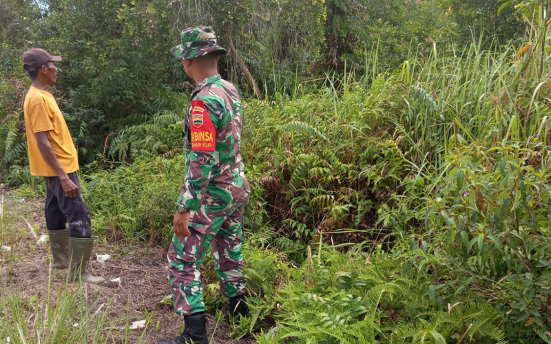 Babinsa Bagan Keladi di Sektor Pertanian Aktif Lakukan Pendampingan