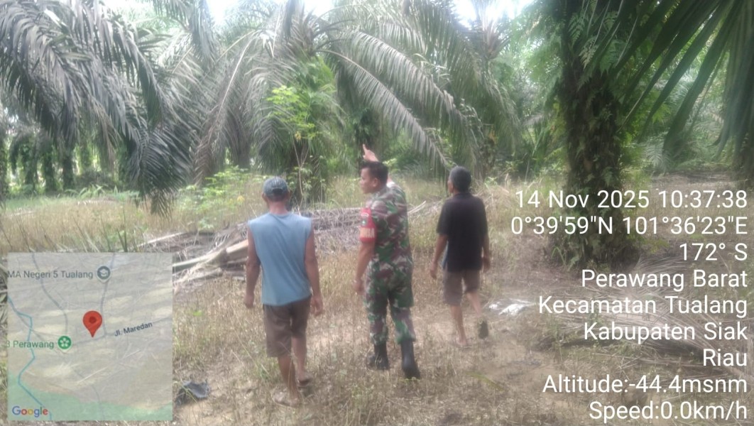 Babinsa Koptu Togi Sitorus Lakukan Patroli Cegah Karhutla di Perawang Barat