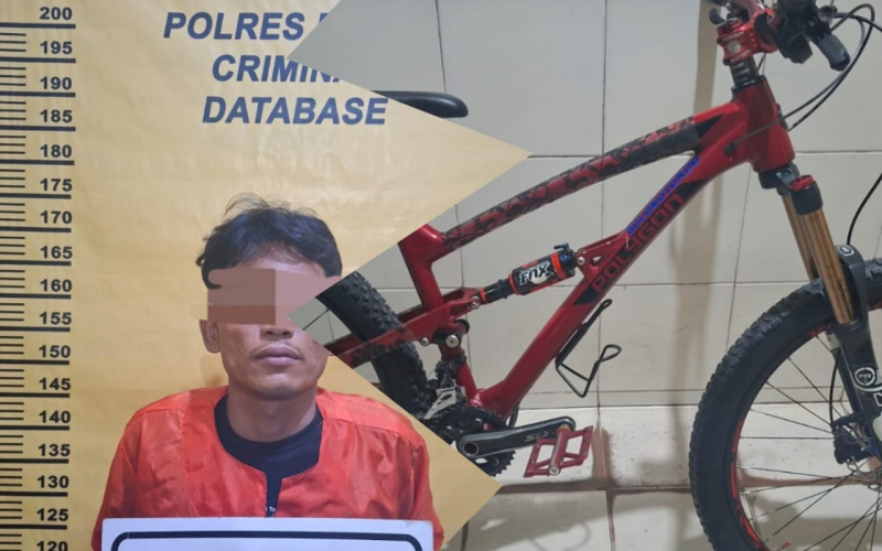 Curi Sepeda dari Gudang Warga, Pria 33 Tahun Dibekuk Polsek Dumai Timur