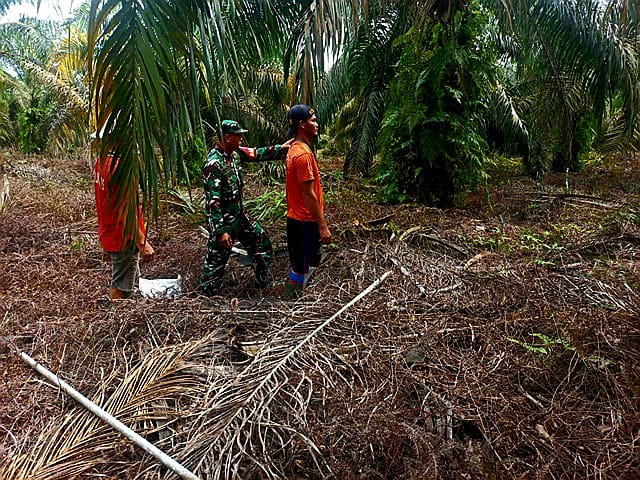 Babinsa Sertu Sarju Gelar Patroli Karhutla di Tualang, Siak