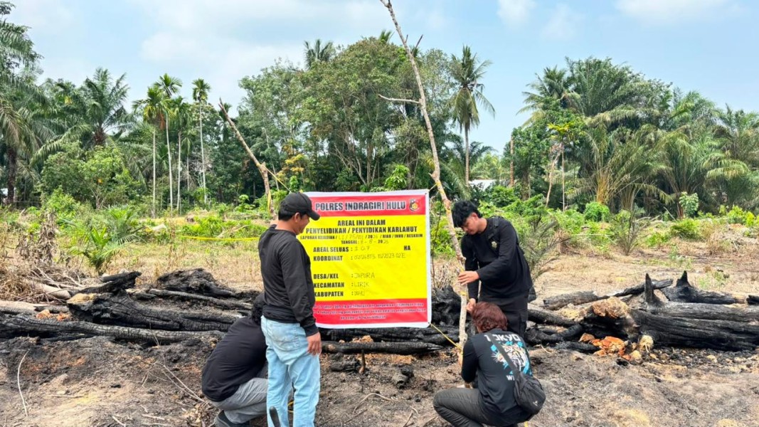 Gara-gara Usir Nyamuk, Pensiunan Bakar Lahan hingga 1,5 Hektare Kebun Sawit di Inhu
