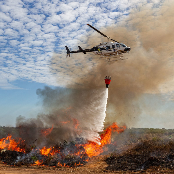 Karhutla Riau Semakin Parah, BNPB Kirim Helikopter dan Tebar Garam Hujan Buatan Selama 7 Hari