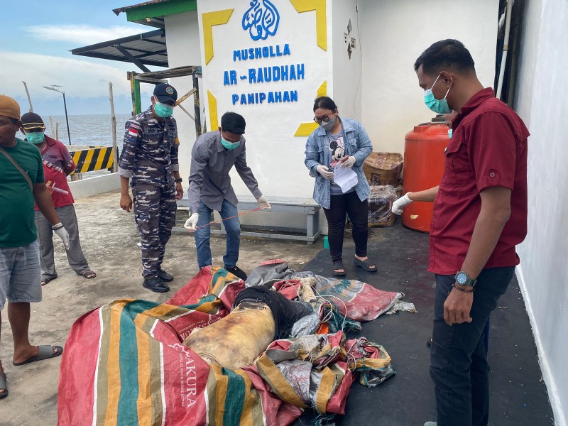 Geger, Dalam Satu Bulan 11 Mayat Ditemukan Mengapung Dilaut Panipahan