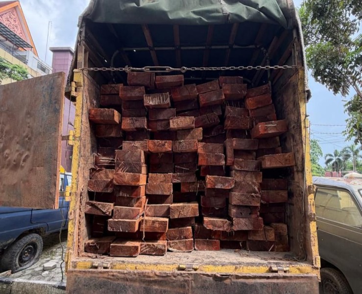 Polisi Bongkar Aksi Perusakan Hutan Konservasi Giam Siak Kecil, 10 Kubik Kayu Disita