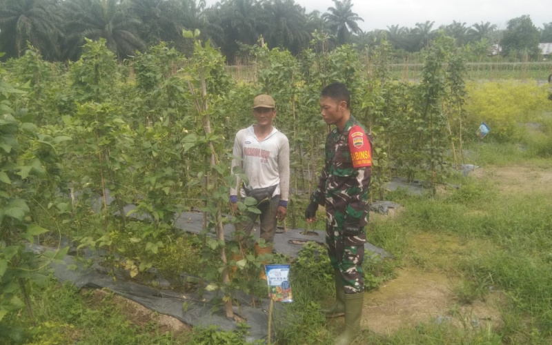 Serda Erwan Berikan Bimbingan Teknis dan Motivasi Kepada para Petani
