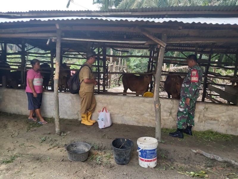 Serda Deddy H, Babinsa Koramil 04/Perawang Ikut Dampingi Surveilans PMK di Koto Gasib