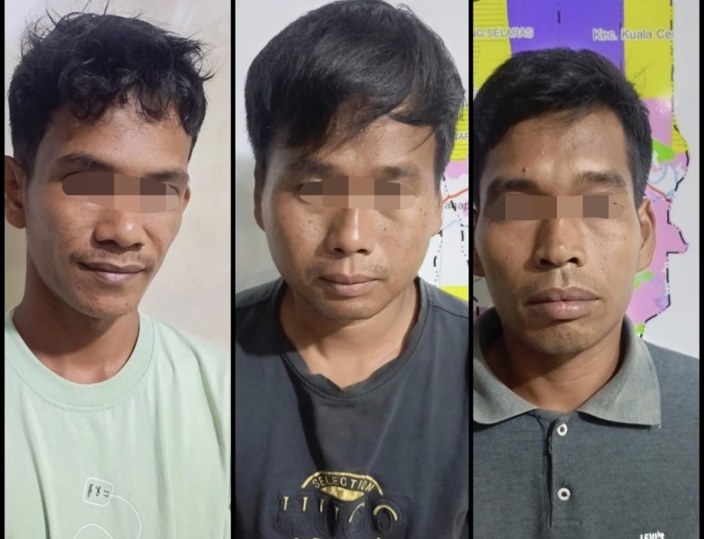 Polres Inhu Tangkap Tiga Pelaku, Diduga Angkut Kayu Olahan dari Kawasan Hutan