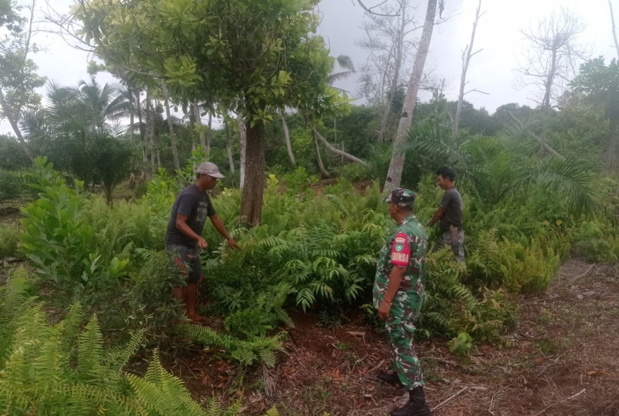 Cegah Karhutla, Kopda Ferry Sinaga Gelar Patroli Tapal Batas di Teluk Belengkong