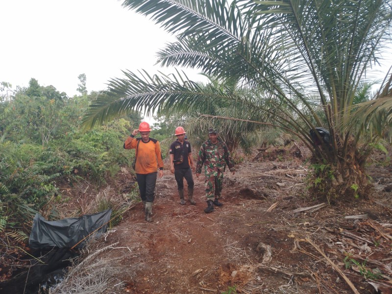 Babinsa Koramil 03/Minas Laksanakan Patroli Karhutla di Kampung Lubuk Umbut, Hasilnya Nihil Titik Api