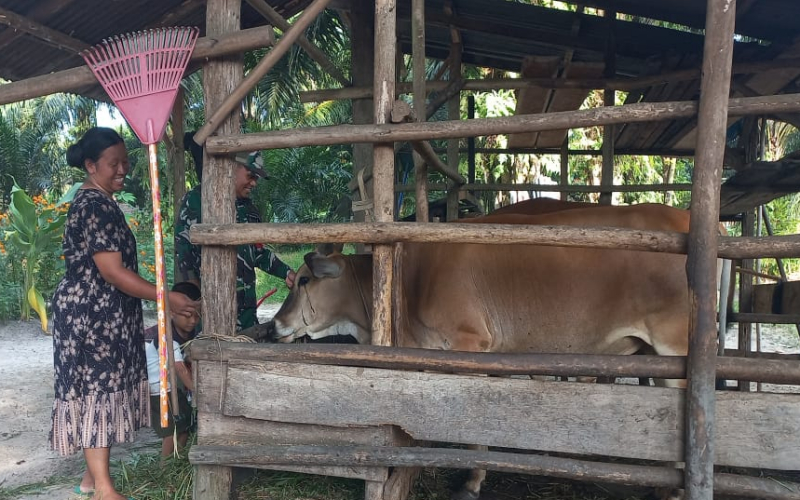 Babinsa Koramil 02 Karya Nyata kepada Pentani Mentimun