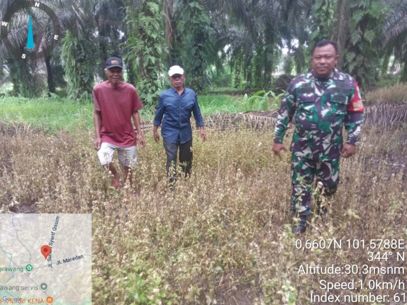 Babinsa Sertu Rudy A. Panjaitan Pimpin Patroli Karhutla di Koto Gasib, Pastikan Situasi Aman