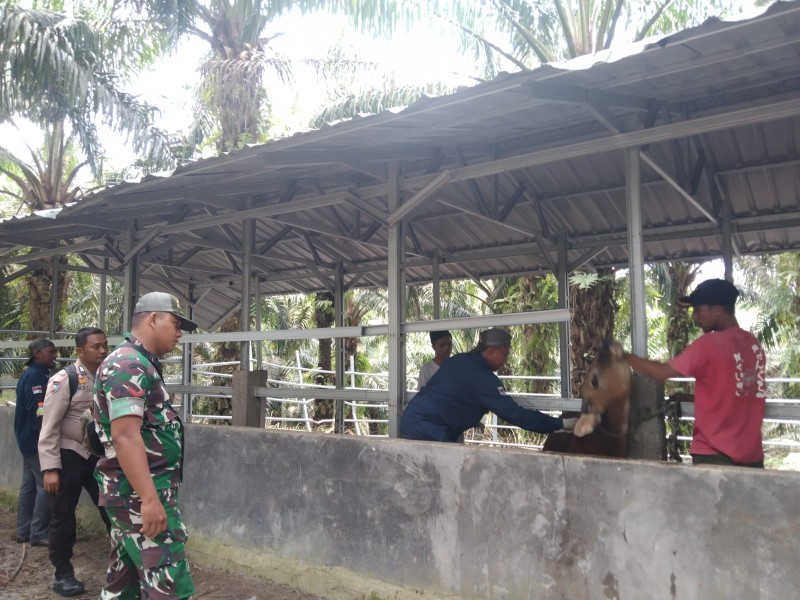 Babinsa Kopda AKP Hutagalung Laksanakan Pendataan dan Pemantauan PMK di Minas Timur