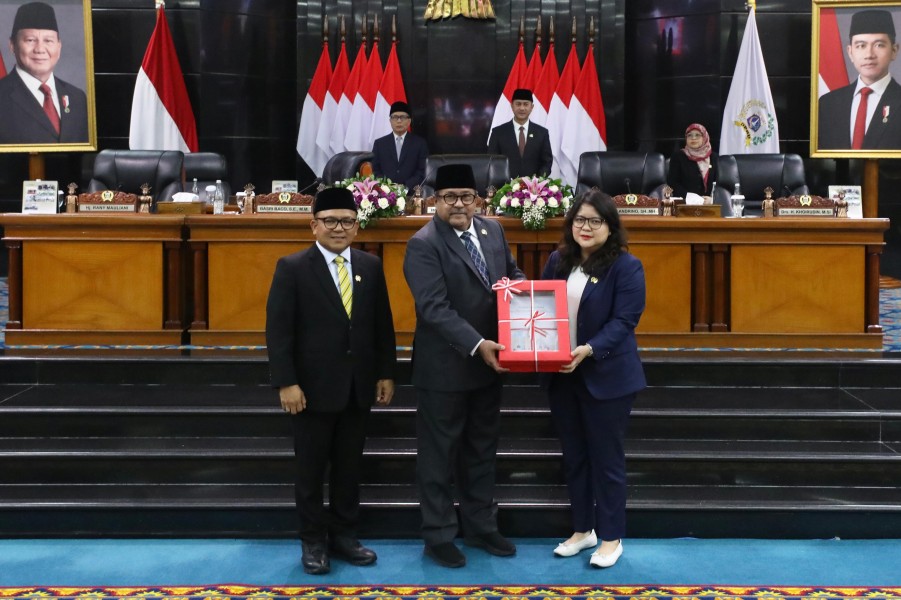 DKI Ajukan Dua Ranperda Kesehatan dan Pelindungan Perempuan