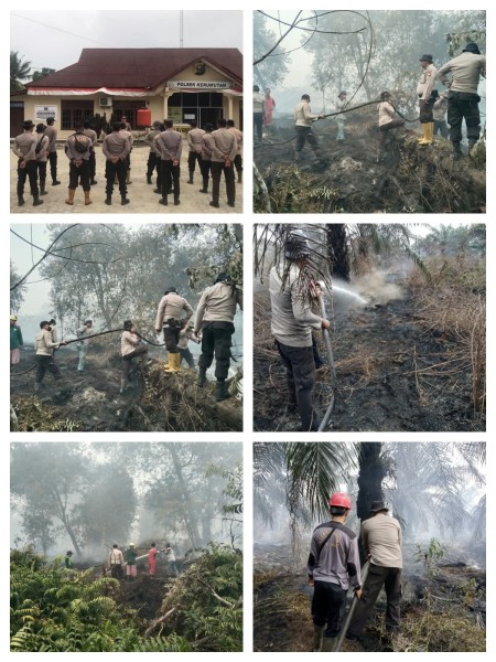 Karhutla Kembali Melanda Kerumutan, Polres Pelalawan Kerahkan Tim Gabungan Padamkan Api di Lahan Gambut