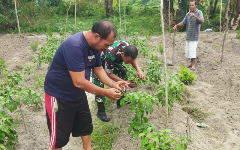 Cegah Karhutla, Babinsa Dumai Selatan Aktif Sosialisasi Lingkungan dan Pertanian