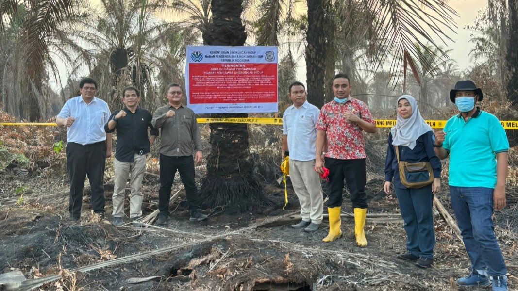 APHI Ungkap Lahan Disegel KLH Terkait Karhutla Bukan Lagi Milik PT SRL