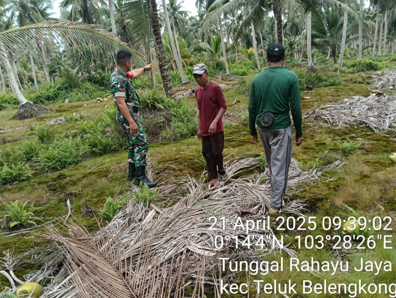 Babinsa Koramil 06/Kateman Laksanakan Patroli dan Sosialisasi Cegah Karhutla di Desa Tunggal Rahayu Jaya