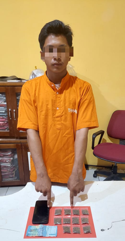 Polsek Tapung Hilir Tangkap Pengedar Gaun Ganja Kering, 18,43 Gram BB Diamankan!