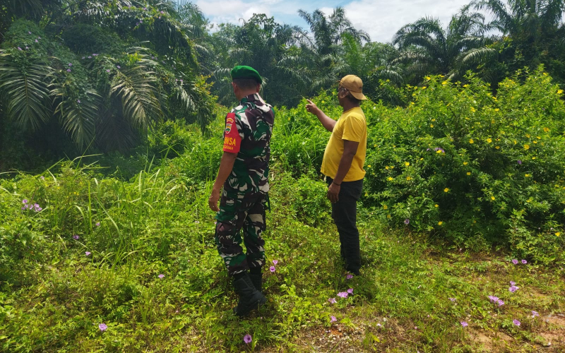 Patroli Cegah Kebakaran Hutan dan Lahan oleh Babinsa Koramil 01