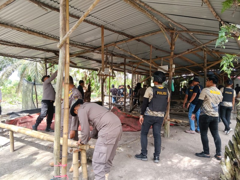 Judi Sabung Ayam 'Bupati Arena' Diobrak-abrik, Polres Kampar Sita Barang Bukti!