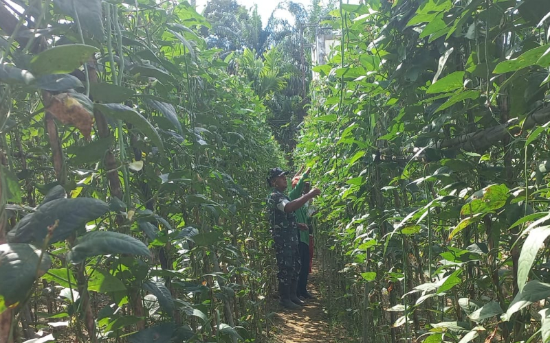 Babinsa Gurun Panjang Gencarkan Patroli dan Sosialisasi Karhutla di Wilayah Rawan