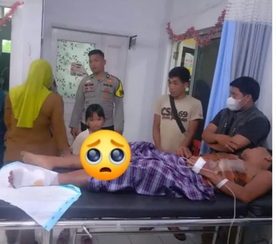 Warga Inhu Selamat dari Sergapan Tiga Ekor Harimau