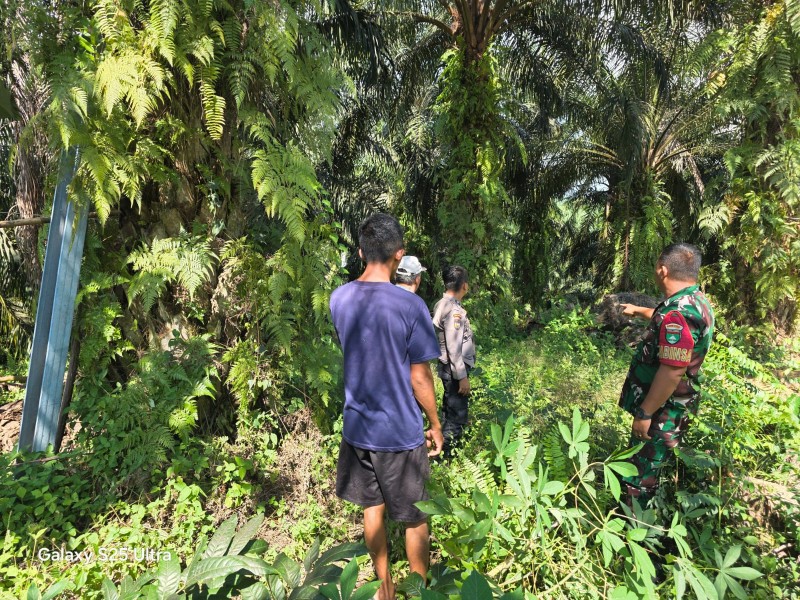 Babinsa Koptu AKP Hutagalung Patroli Karhutla, Pastikan Wilayah Minas Barat Aman dari Titik Api