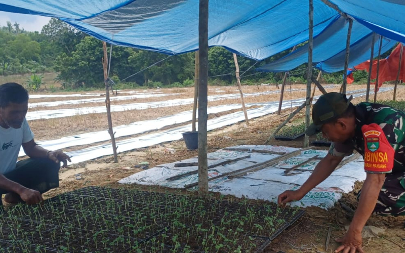 Perkuat Ketahanan Pangan, Kodim Dumai Dampingi Budidaya Semangka di Bukit Kapur