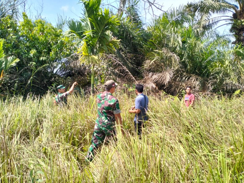 Babinsa Koptu Salomo Sembiring Intensifkan Patroli Karhutla di Minas Jaya, Situasi Aman dan Terkendali