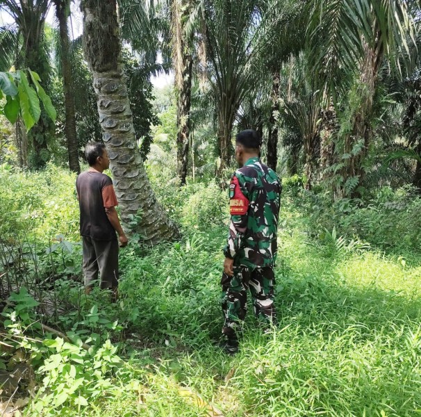 Babinsa Koramil 03/SS Ingatkan Warga Batu Teritip Tak Buka Lahan dengan Membakar