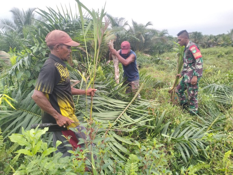 Patroli Karhutla, Babinsa Koramil 06/Kateman Ingatkan Warga Bahaya Buka Lahan dengan Membakar
