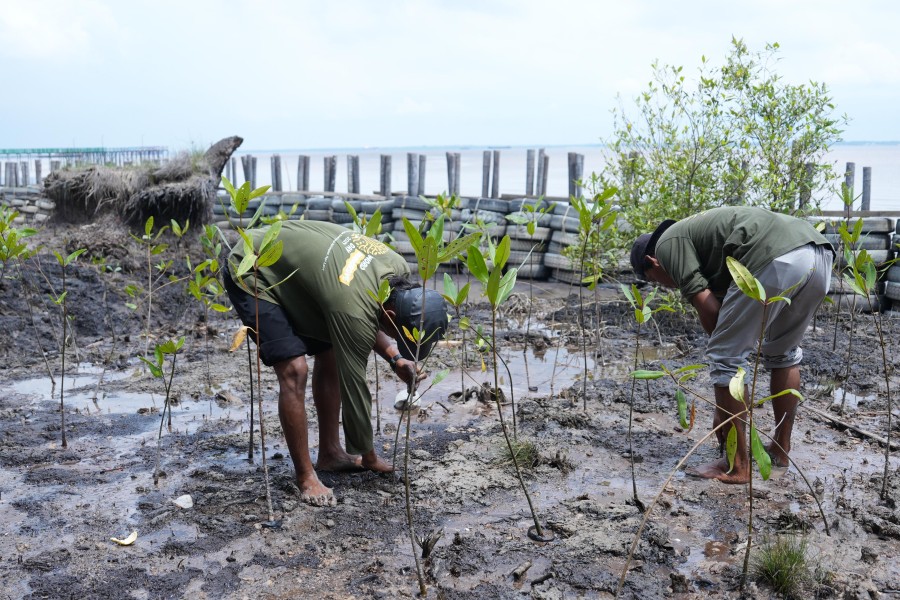 PT KPI Unit Dumai Perkuat Ketahanan Masyarakat Pesisir di Desa Mundam