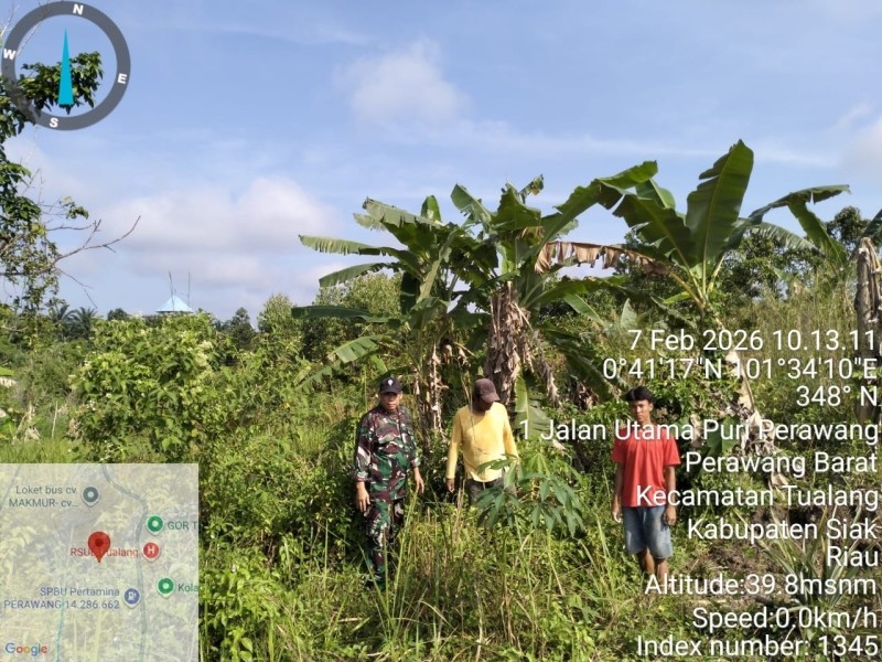 Babinsa Peltu Ramli Nst Laksanakan Patroli Karhutla di Perawang Barat, Pastikan Wilayah Aman dari Titik Api