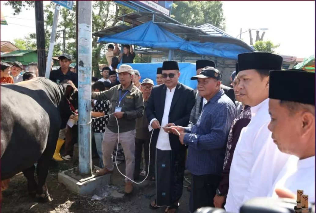 Wako Alfin dan Wawako Azhar Serahkan Bantuan Sapi Presiden ke Masjid Raya Sungai Penuh