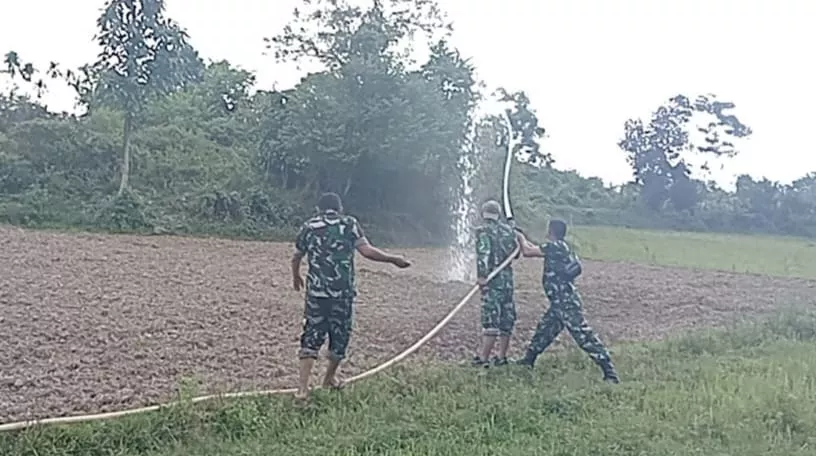 Tak Sekadar Menanam, Satgas TMMD ke-129 Kodim 0102/Pidie Rawat Harapan Petani di Tengah Teriknya Cuaca