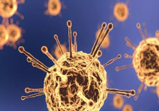  Isu Hantavirus Viral di Media Sosial, Masyarakat Diimbau Tenang dan Jaga Kebersihan