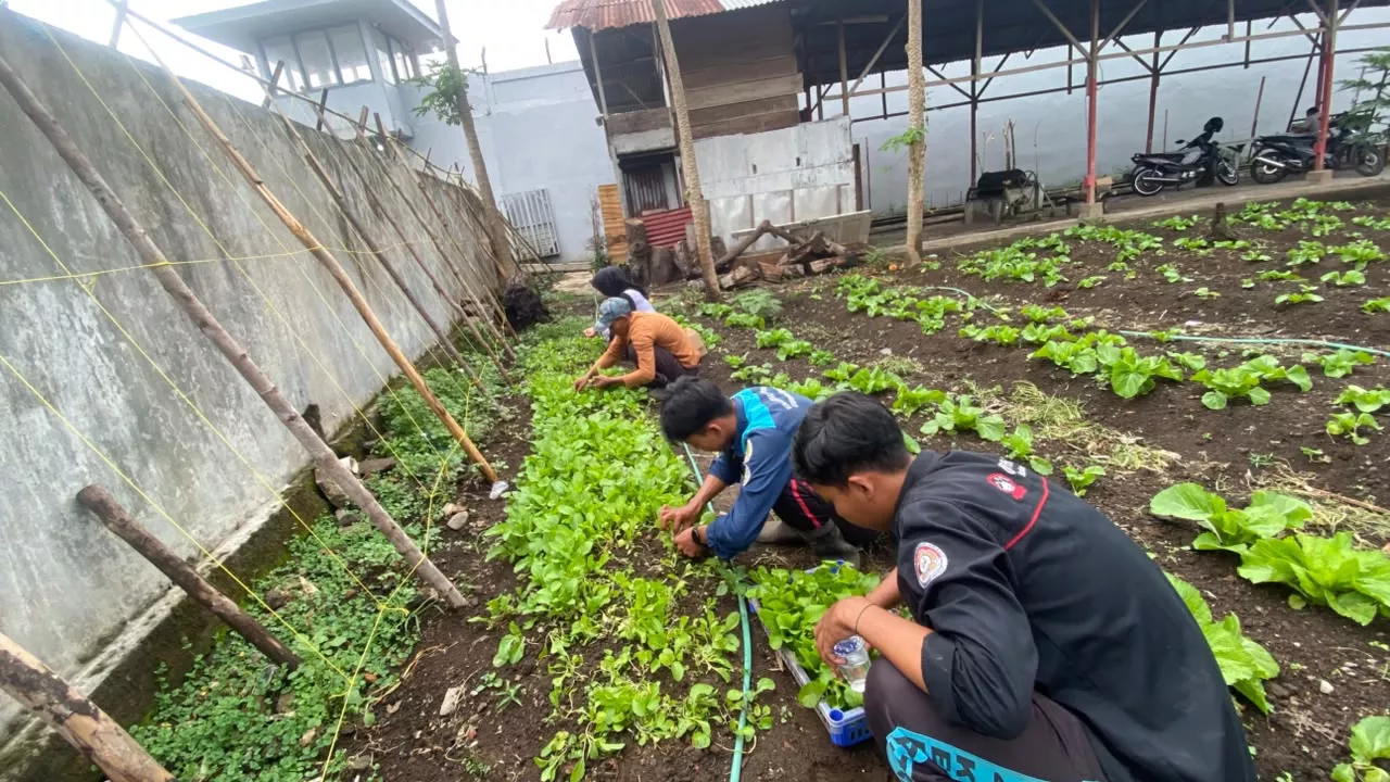 Dari Balik Jeruji, Warga Binaan Lapas Curup Belajar Bertani untuk Bekal Setelah Bebas