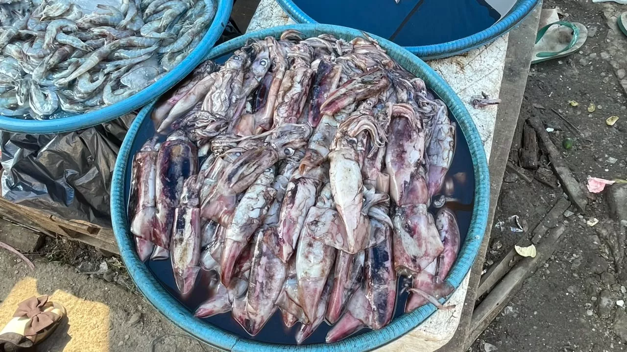 Harga Cumi di Pasar Pulau Baai Stabil, Penjualan Meningkat Saat Akhir Pekan