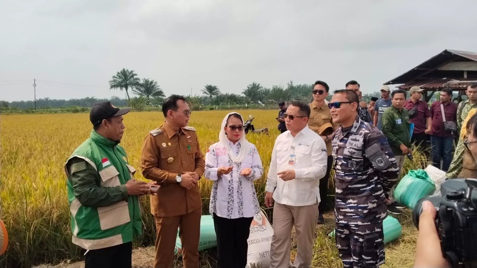 Senator Destita Dorong Ketahanan Pangan Seluma, BI Serahkan Combine Harvester untuk Petani