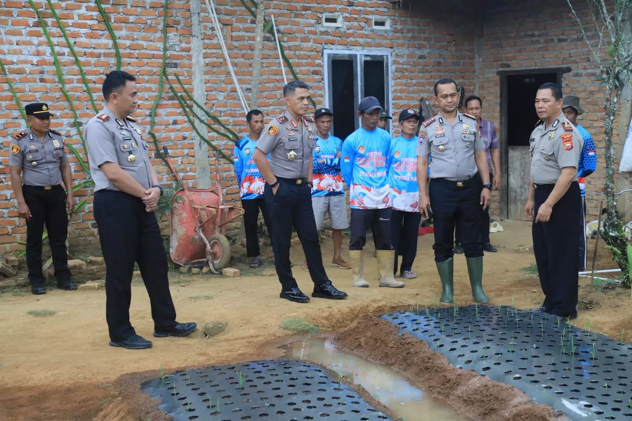 Dukung Swasembada Bawang Putih, Kapolda Bengkulu Cek Demplot Varietas Sangga Sembalun di Lebong