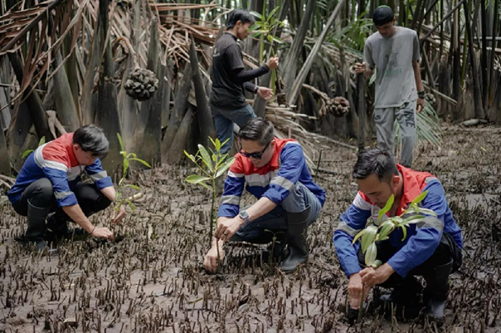 Menanam Asa di Pesisir Belitung Demi Target Net Zero Emission 2060